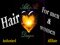 /// ALLI&ALI - Hair i Love /// /// ALLI&ALI - Hair i Love ///