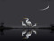 Moons & Midnight Shadows