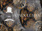 MONOCLE MAN GALLERY (Pictures and Hangout) MONOCLE MAN GALLERY (Pictures and Hangout)