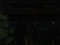 Caylea - OOC Background Caylea - OOC Background