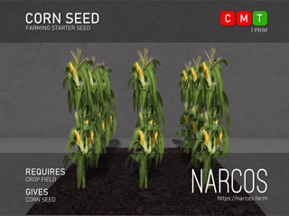 [Narcos] Corn Seed (REZ)