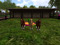 The World of Ponies