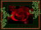 The Rose Unleashed VIP The Rose Unleashed VIP