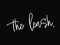 the leash.