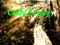 Candy's Home for Friends too