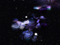 (4) GALAXY DREAMS