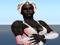On OOC On OOC