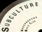 Subculture Underground Music Club