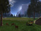 Yosemite Valley (Forever WIld)