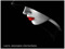 Lara Augusta Carnelian Lara Augusta Carnelian