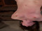 CumBDSM