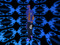 Harlem Crip