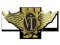 Valkyrie Transport
