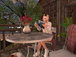 Parcel snapshot