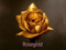 **Rosegold Designs** **Rosegold Designs**