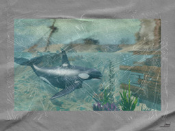 parcel image