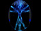 Avatar Appearance Avatar Appearance