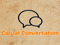 CasualConversation