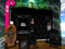 Cool  Cat's Art Music Circus