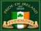 Evermore's Irish Pub