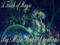 Moon Magic Creations