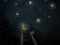 ☋ FIREFLIES