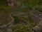 Dragonfly Grove