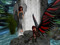 WING WOMEN