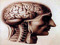 Psychological Research