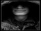 Erotic Elite Roleplayers-Searching Erotic Elite Roleplayers-Searching