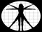Mesh Physique Support