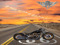 3 JFC Bikes