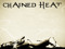 Chained Heat Main Store - Silks, Camisk, Free Woman Clothing Chained Heat Main Store - Silks, Camisk, Free Woman Clothing