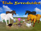 *~Teulu Breedable Sim ~* *~Teulu Breedable Sim ~*
