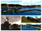 Texas Capital (Ground), Royal Gardens (Forest) Texas Capital (Ground), Royal Gardens (Forest)