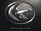 House Arryn: Ice and Fire House Arryn: Ice and Fire