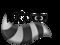 The Sneaky Raccoon The Sneaky Raccoon