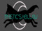Mystic's Hollow Mystic's Hollow