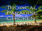 Tropical Paradise Chicken Orphanage