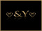 *.::&Y::.* *.::&Y::.*