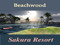 ~Beachwood~