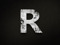 Raoh's Design