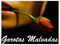   #GAroTAs MaLvAdAs#