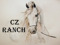 CZ Ranch LTD