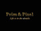 Prim & Pixel Paradise Prim & Pixel Paradise