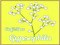 Cafe&Bar Gypsophila