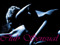 Club Sensual-VIP Club Sensual-VIP