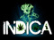 CLUB INDICA FAMILY
