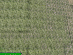 parcel image
