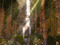 The Light 